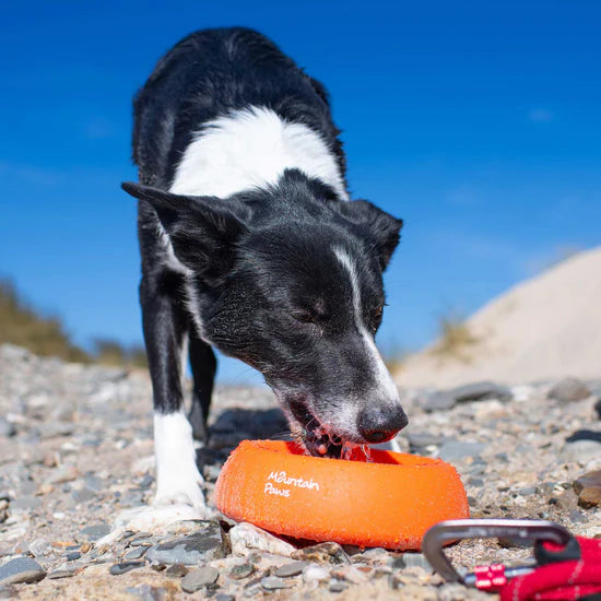 Mountain Paws Splashproof Silicone Bowls