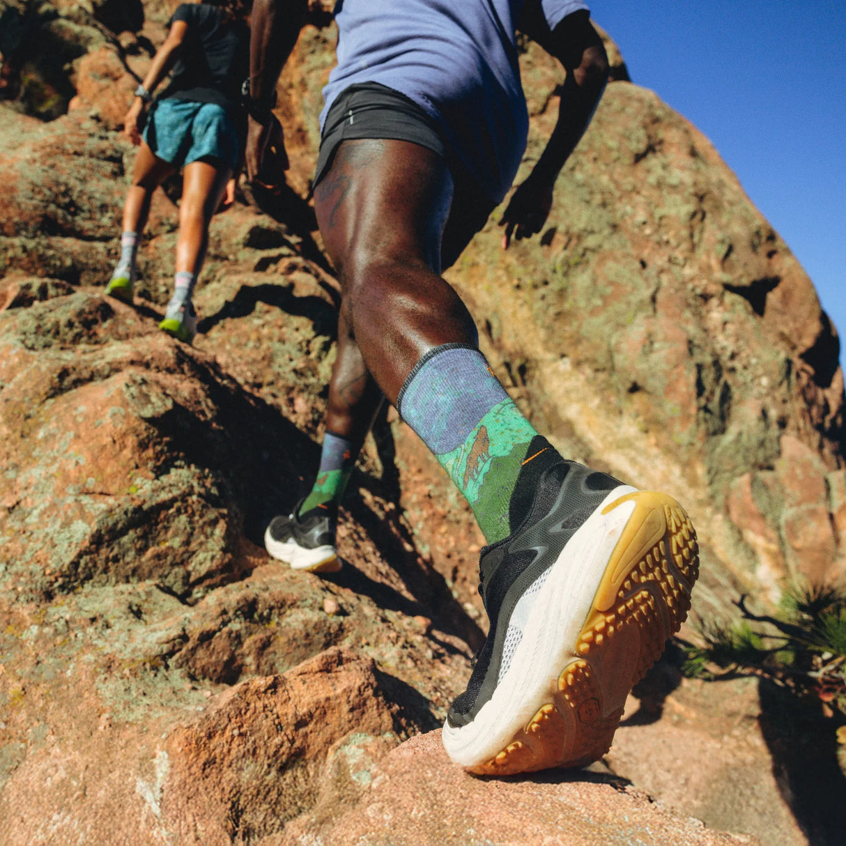 Smartwool Trail Run Neature Print Crew Socks
