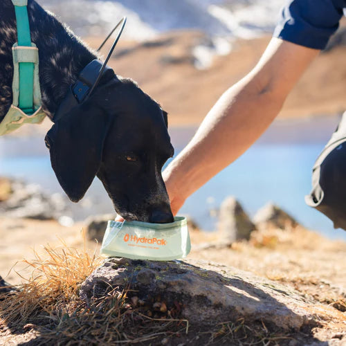 Hydrapak Rover Bowl - Stowable