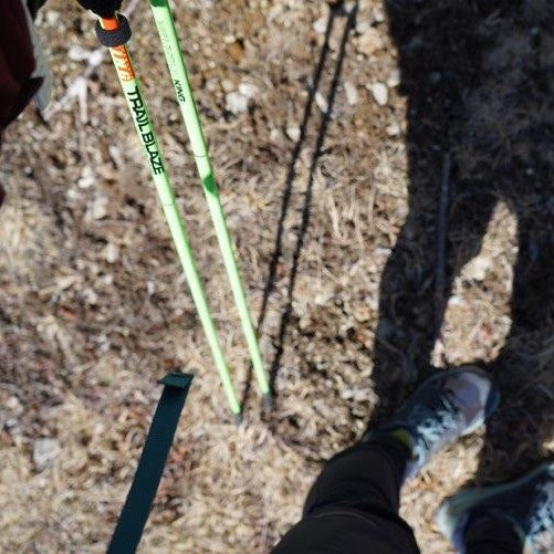 Mountain King Sky Runner Ultra Carbon Poles (Pair)