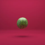 Sfuels Primed 2GEN - Watermelon (10 & 5 Packs)